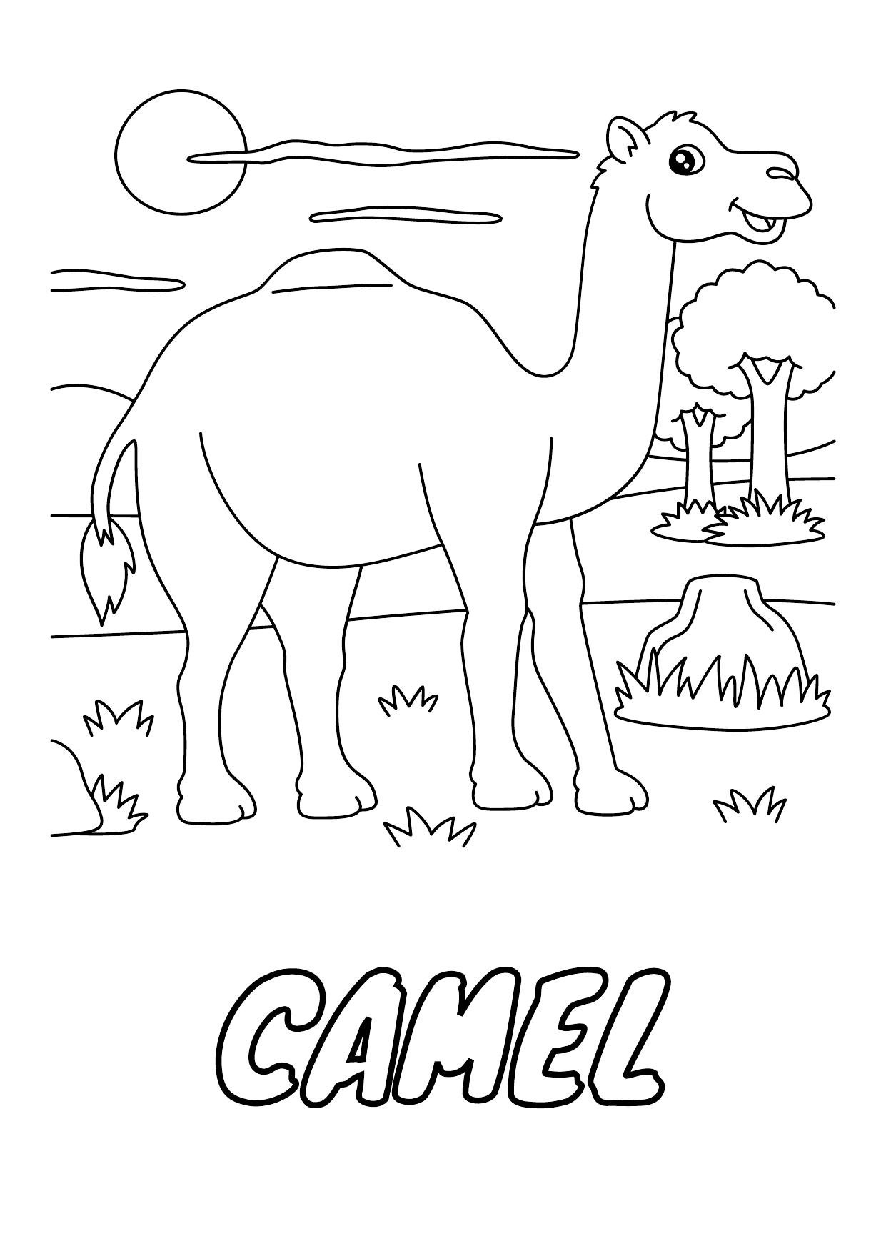 Cute animals coloring book inside preview page